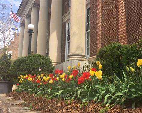 city of fredericksburg virginia|city of fredericksburg va government.